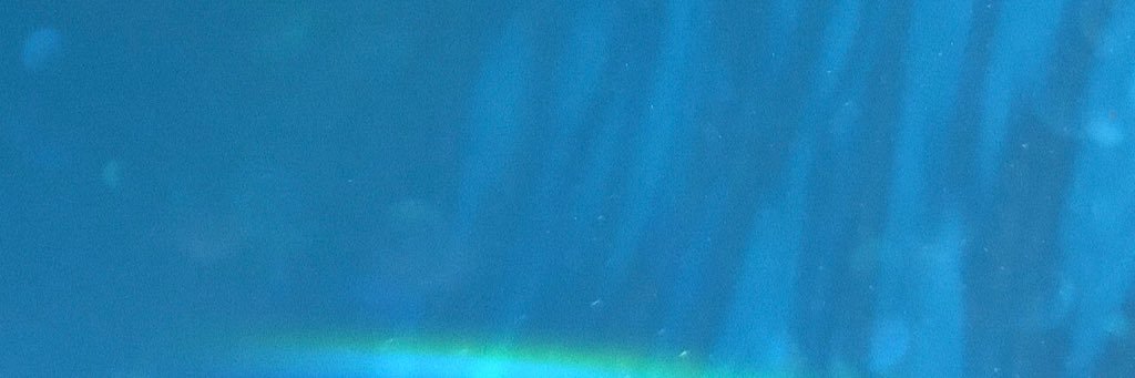 ricyuer's profile banner image