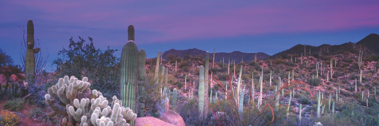 abgradcon's profile banner image