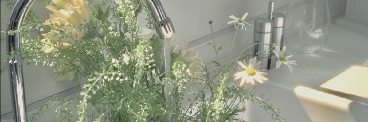 thanhthienh's profile banner image