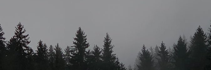 Sabz_ww's profile banner image