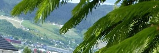 kerukitakarin's profile banner image