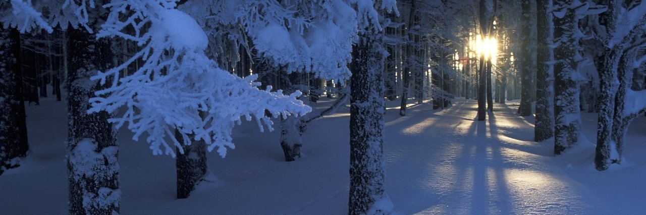 hodocska's profile banner image