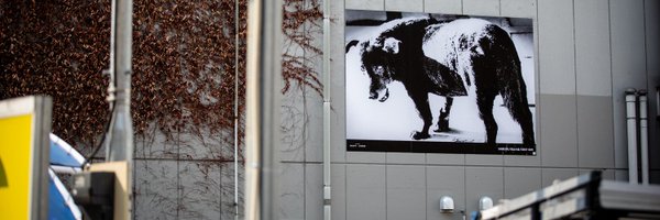 tomotake94 Profile Banner