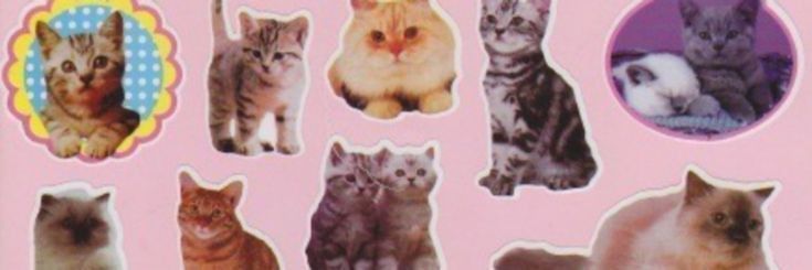 eaecasor's profile banner image