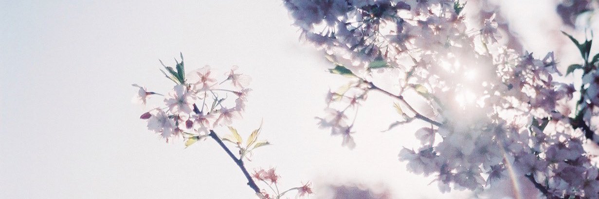 くろねこ📷️ banner