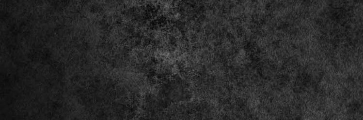 SteveLion_eth's profile banner image