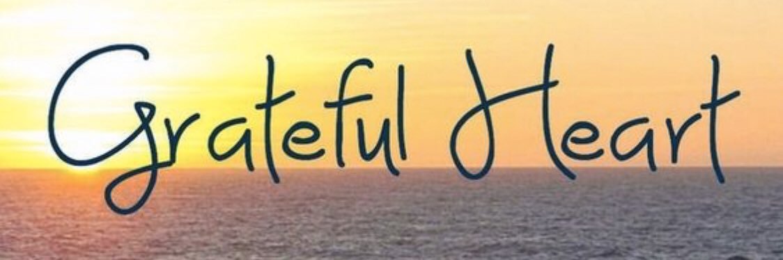 🌺Mahalo_ThankYou🌺 banner