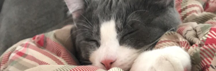 Mitchie630's profile banner image