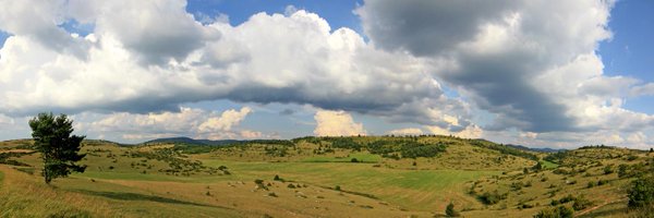 FanAveyron Profile Banner