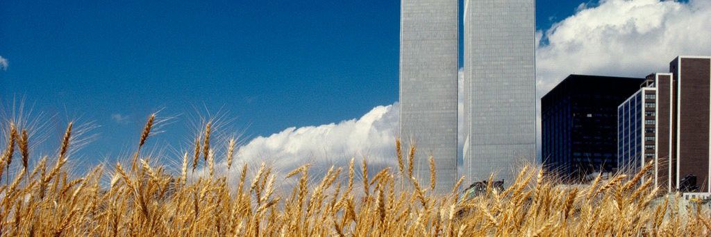 Vivatius Maximus banner