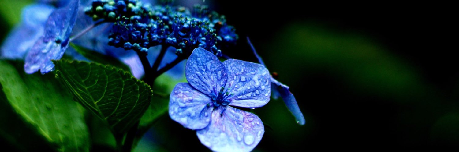 mmh___hh's profile banner image