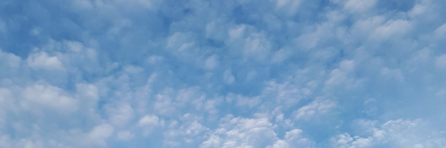 mirzaismaail's profile banner image