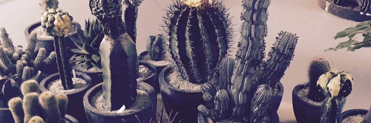 denmask's profile banner image