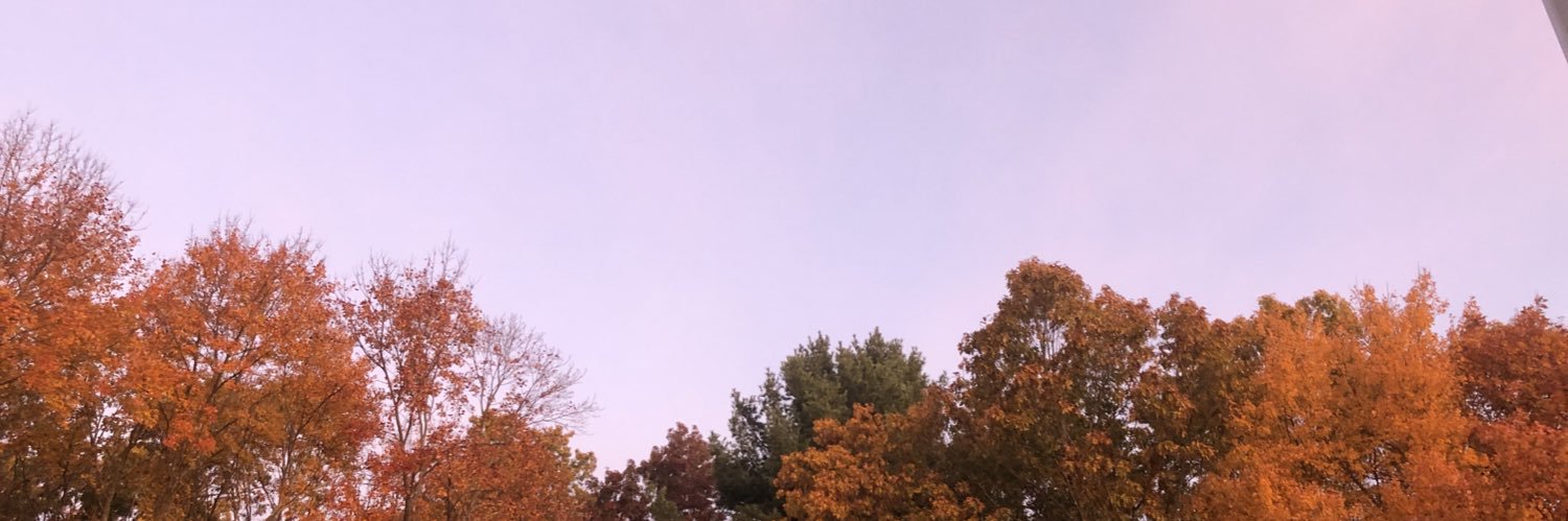 grasssydney's profile banner image