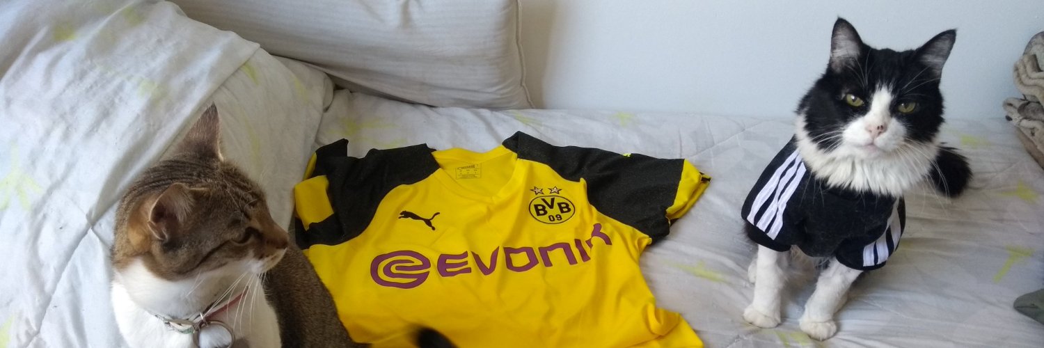 VickyBVB18's profile banner image