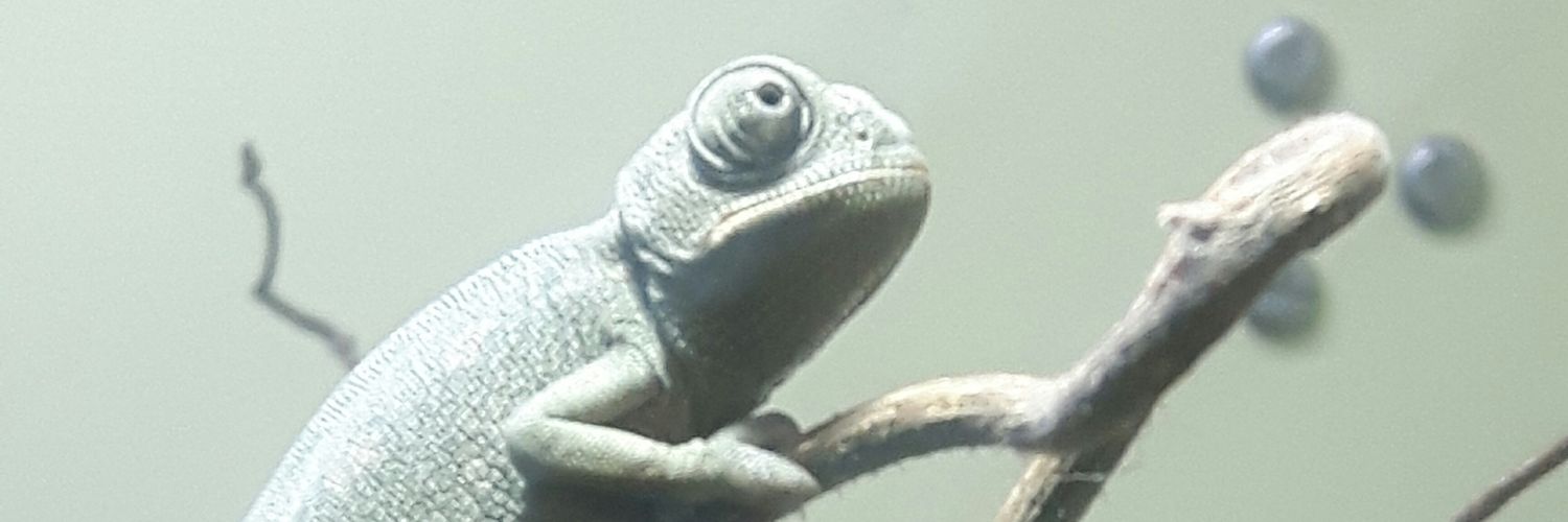 mgnib's profile banner image