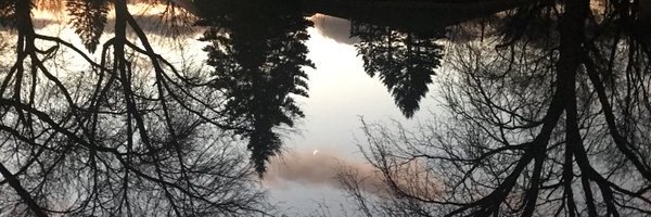 _Rose_A's profile banner image