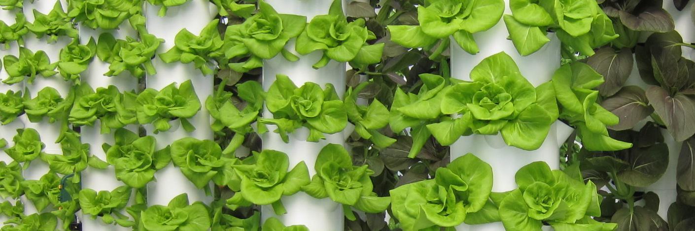ABUrbanFarms's profile banner image