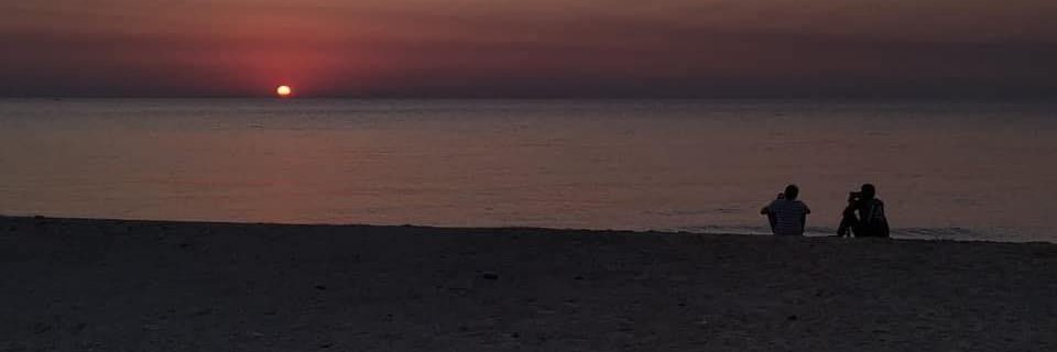 Mustafa Elghonimy banner