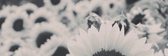 _CaliforniaCam_'s profile banner image