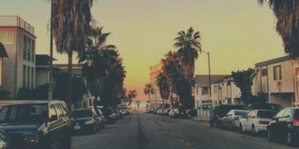 Ro Moglia banner