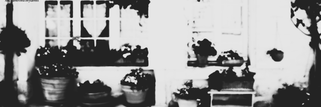 CaraJDnge's profile banner image