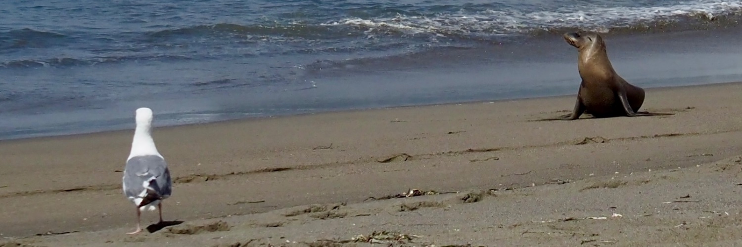 treejep's profile banner image