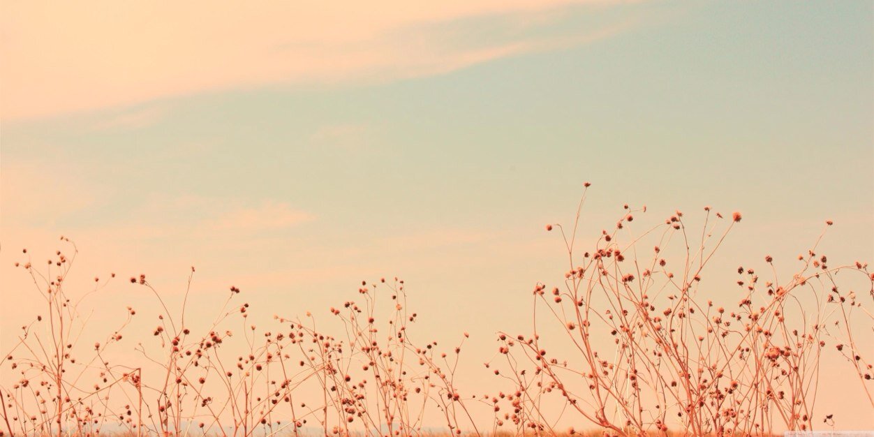 SandersIrene's profile banner image