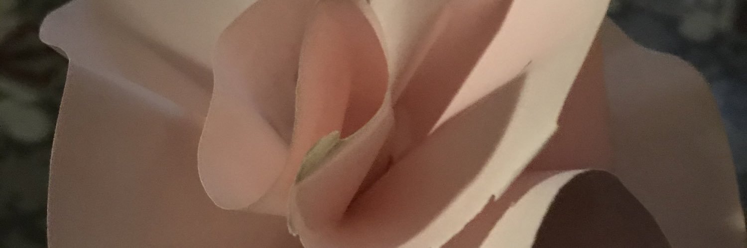 ROSE BV banner
