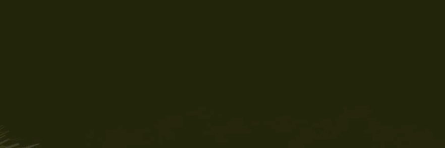 thhi's profile banner image