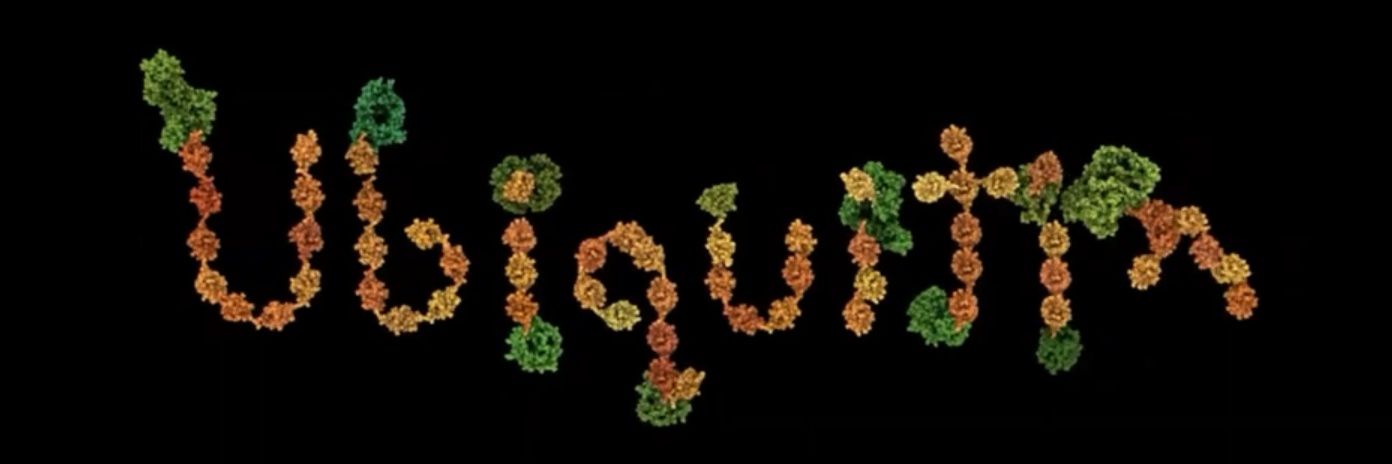 Devanshi Gupta (She/her) banner