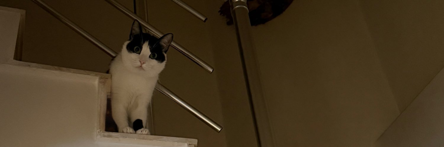 buseeorhann's profile banner image