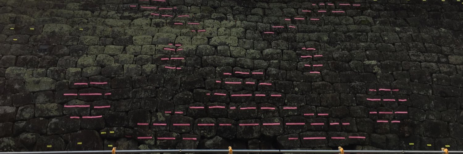 98ttii's profile banner image