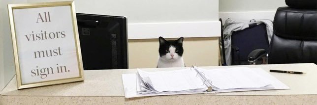 Blicky Blicardo banner