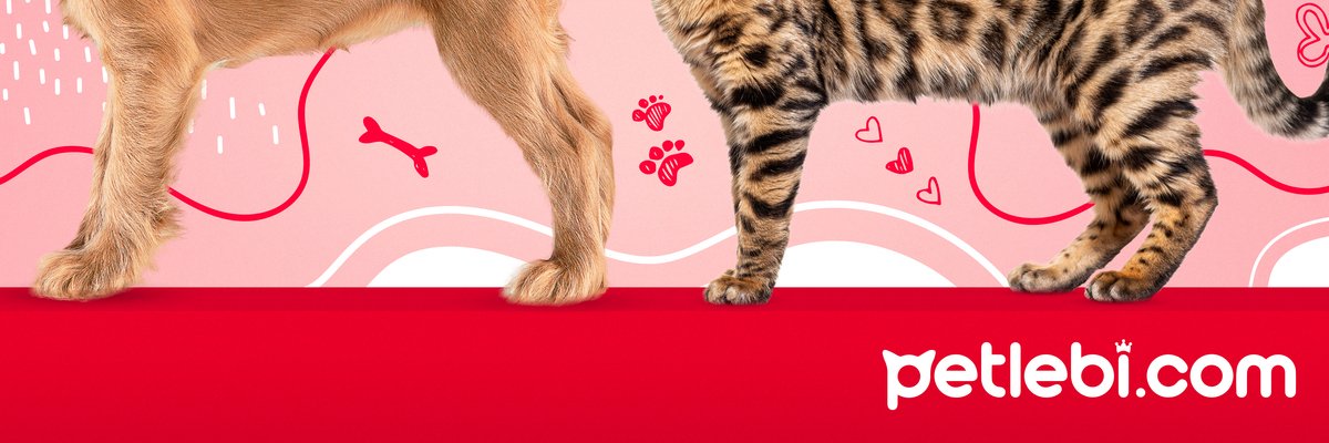 petlebi's profile banner image