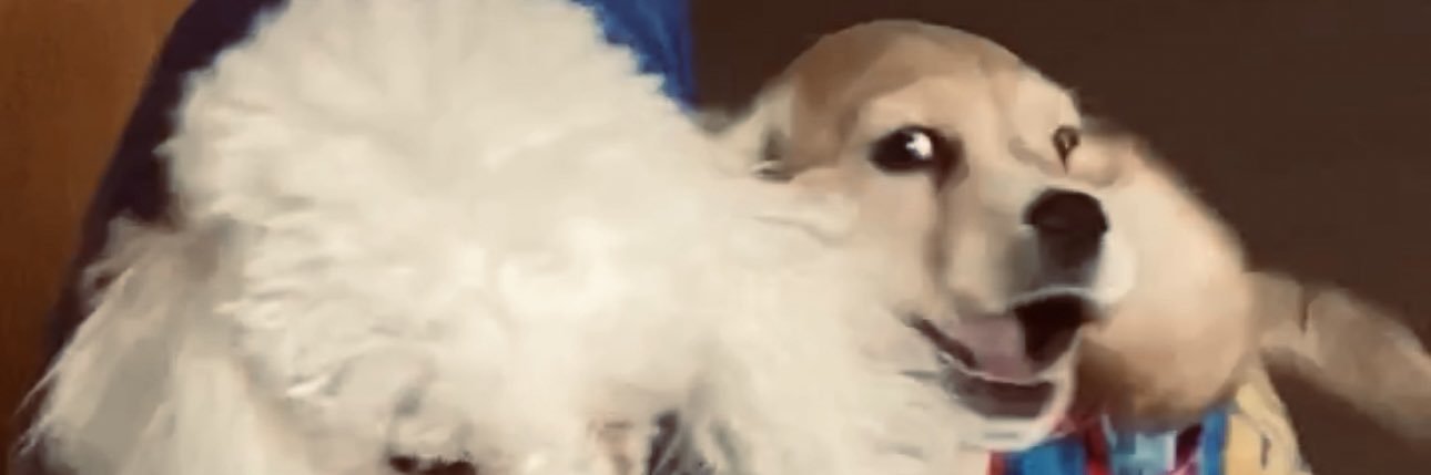 islas_frida's profile banner image