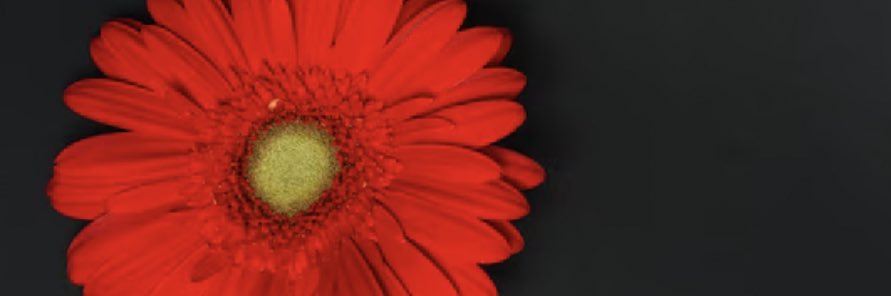 mmheart1234's profile banner image