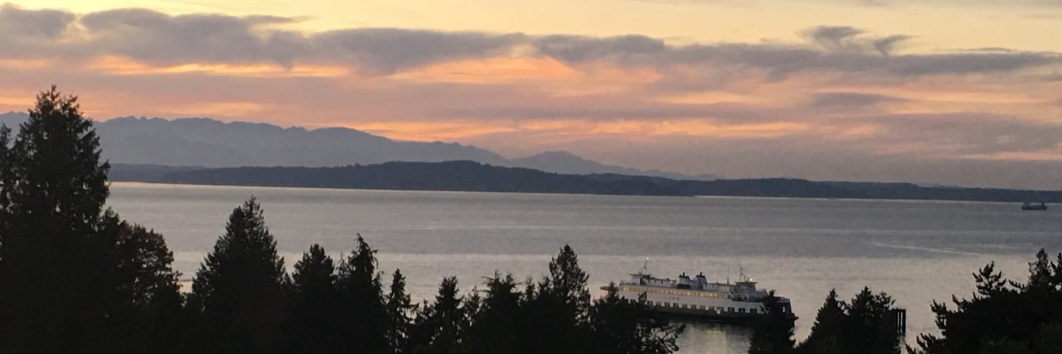 Cat Irby Arnold banner