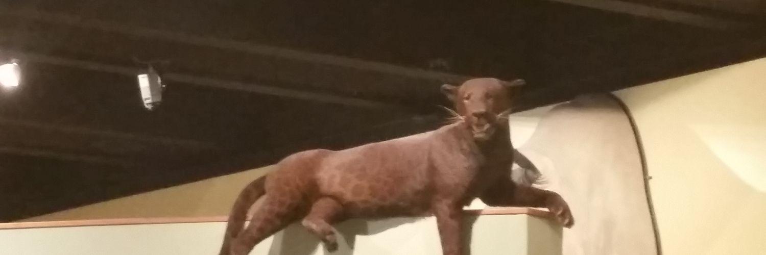 MarysaWeitzman's profile banner image