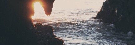 sillycilantro's profile banner image