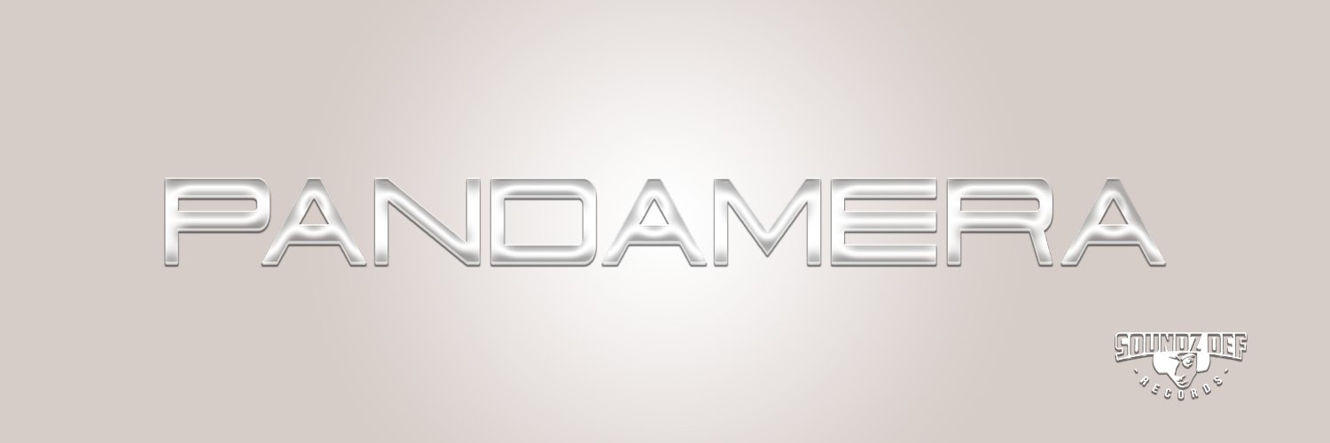 1Pandamera's profile banner image
