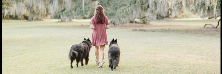 ElizabethThyo's profile banner image