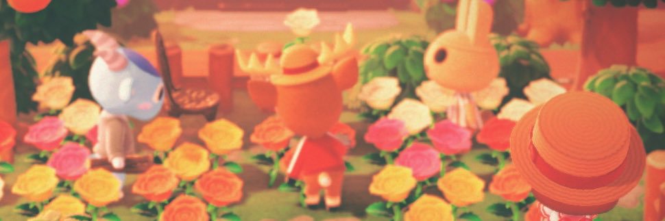 npp🍀 banner
