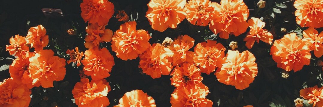 abbzhoward's profile banner image