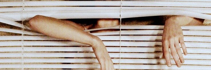eucoccos's profile banner image