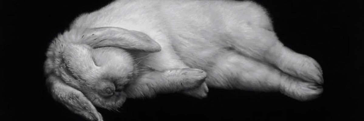 UNSOLDADOMAS_'s profile banner image