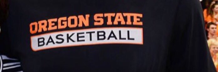 Honeybuns Inspector banner