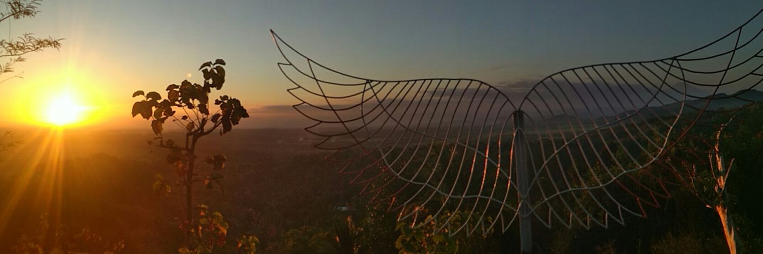 cikimprid's profile banner image