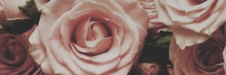 sskjswn's profile banner image