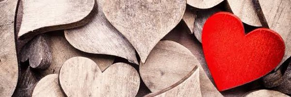 SercanOkutucu Profile Banner